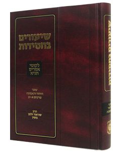 Shiurim Bechasidus Set