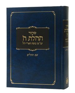 Siddur Large, Clear Tehilim 6 x 9 Blue