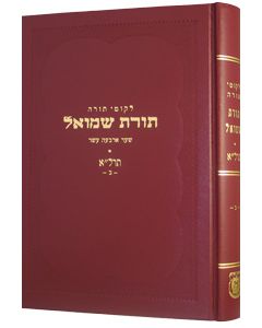 Toras Shmuel - 5631 - vol 2