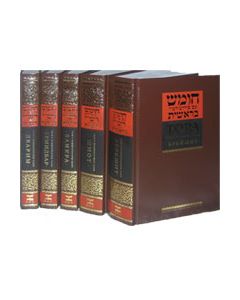 Chumash Hebrew - Russian 5 Vol's Set 6 x 9